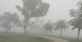 ভোরে হালকা কুয়াশা পড়তে পারে, অপরিবর্তিত থাকবে তাপমাত্রা