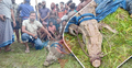 ১৭ দিন পর এলাকাবাসীর হাতে ধরা পড়ল সেই কুমির