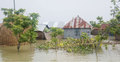 কুড়িগ্রামে বন্যার পানি কমলেও কমেনি দুর্ভোগ
