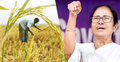 মোদীর কৃষি আইন বাতিলের ঘোষণা, কৃষকদের অভিনন্দন মমতার