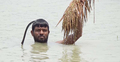 পানিতে তলিয়ে গেছে ধান, ডুবে ডুবে তুলছেন কৃষক