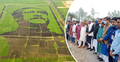 শস্যচিত্রে বঙ্গবন্ধু : অভিভূত গিনেস ওয়ার্ল্ড রেকর্ডের প্রতিনিধিরা