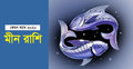 ২০২০ সালে অনেক সমস্যায় থাকবেন মীন রাশির জাতক