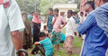 ধান কাটতে রাজি না হওয়ায় শ্রমিককে গলা কেটে হত্যা