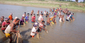 ছোট যমুনার বুকে পলো দিয়ে মাছ ধরা উৎসব