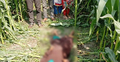 ভুট্টাক্ষেতে মিলল নিখোঁজ গৃহবধূর লাশ, স্বামী আটক