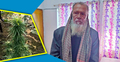 সবজি ক্ষেতে গাঁজা গাছ, ৭০ বছরের বৃদ্ধকে জরিমানা