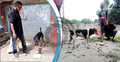 বিধিনিষেধে অভুক্ত কুকুরের পাশে তারা