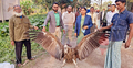 মুক্ত আকাশে ডানা মেললো বিপন্নপ্রায় শকুন