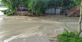 পদ্মার পানির তোড়ে ফরিদপুর শহররক্ষা বাঁধে ধস