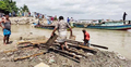 পদ্মায় ভাঙন শুরু