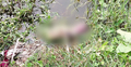 পুকুরে ভাসছিল নবজাতকের মরদেহ