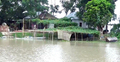 সেনগ্রামে পদ্মার পানি বিপৎসীমার ৫৭ সেমি ওপরে