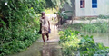 রাজবাড়ীতে পানিবন্দি সাড়ে ৭ হাজার পরিবার