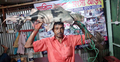 পদ্মায় ধরা পড়লো ৩৫ কেজির বাঘাইড়, ৪৭ হাজারে বিক্রি