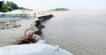 রাজবাড়ীতে পদ্মার প্রতিরক্ষা বাঁধে আবারো ভাঙন