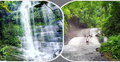 বর্ষায় দেখে আসুন রাঙ্গামাটির অন্য রূপ