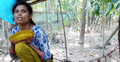 টাকার অভাবে গাছের সঙ্গে বাঁধা রিতার জীবন