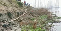 আর ১০০ ফুট ভাঙলেই নদীগর্ভে বিলীন হবে ১৭ গ্রাম