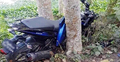 গাছে মোটরসাইকেলের ধাক্কায় দুই যুবক নিহত