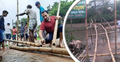 ৩০ হাজার মানুষের পারাপারে বাঁশের সাঁকো নির্মাণ করলো ছাত্রলীগ