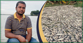 একরাতে ৫ কোটি টাকার মাছ হারিয়ে পথে বসার উপক্রম