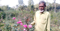 দিনমজুর থেকে সফল ফুলচাষি সেলিম মন্ডল