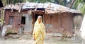 জরাজীর্ণ ঘরে নির্ঘুম রাত কাটে সিন্দুবালার