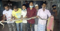 কবরস্থানে মিলল ছয় ফুট দৈর্ঘ্যের অজগর