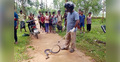 ৯৯৯ নম্বরে ফোন দিয়ে কোবরা সাপের প্রাণ বাঁচালেন যুবক