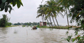 শরীয়তপুরে বিপৎসীমার ২২ সেমি ওপরে পদ্মার পানি, প্লাবিত নিম্নাঞ্চল