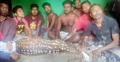 শ্রীপুরে লোকালয় থেকে হরিণ উদ্ধার