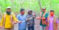 বরগুনায় খেজুর গাছে ৯ ফুট লম্বা অজগর