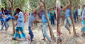 ছাগল চুরির অপবাদে প্রতিবন্ধীসহ তিন কিশোরকে গাছে বেঁধে নির্যাতন