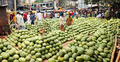 দিনে ৪০ হাজার তরমুজ বিক্রি হচ্ছে মুক্তারপুর হাটে