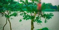 গাছে ঝুলছিল নারীর মরদেহ, ‘জিনের ভয়ে’ কাছে যায়নি কেউ
