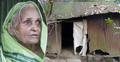 খাবার দেয়নি ছেলেরা, কুঁড়েঘরে থেকে মানসিক ভারসাম্যহীন মা