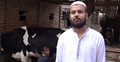 গরুর খামার করেই কোটিপতি আজিজ