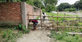 রাস্তায় বাঁশের বেড়া দিলেন মেম্বার, ২০ গ্রামের মানুষ অবরুদ্ধ