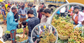 খাগড়াছড়ির বাজারে লিচুর সমাহার