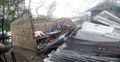 শ্যামনগরে টর্নেডোয় অর্ধ শতাধিক বাড়িঘর বিধ্বস্ত, নিখোঁজ ১