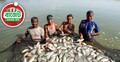 প্রথমবারের মতো বাজেটে মৎস্য বিমা স্কিম চালুর উদ্যোগ