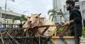 হাটের হাসিল কম দিলে কি কোরবানি হবে?
