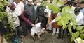 ঢাকায় ‘মিয়াওয়াকি’ পদ্ধতিতে নগর বনায়ন কার্যক্রম শুরু