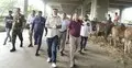 মেট্রোরেল স্টেশনের নিচে কোরবানির পশুর সারি, সরালেন ডিএনসিসি প্রশাসক