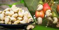 কেন নিয়মিত কাজু বাদাম খাবেন?