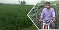 ধানের বদলে নেপিয়ার ঘাস চাষে ঝুঁকছেন কৃষকরা, ফিরছে অর্থনৈতিক স্বচ্ছলতা