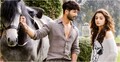 আলিয়াকে ঘিরে বিতর্কে মুখ খুললেন শহিদ কাপুর