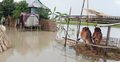 বন্যায় নোয়াখালীতে প্রাণিসম্পদের ক্ষতি সোয়া ৮ কোটি টাকা