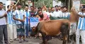 টাঙ্গাইলে আর্জেন্টিনার ম্যাচ উপলক্ষে গরু জবাই করে ভূরিভোজ আয়োজন